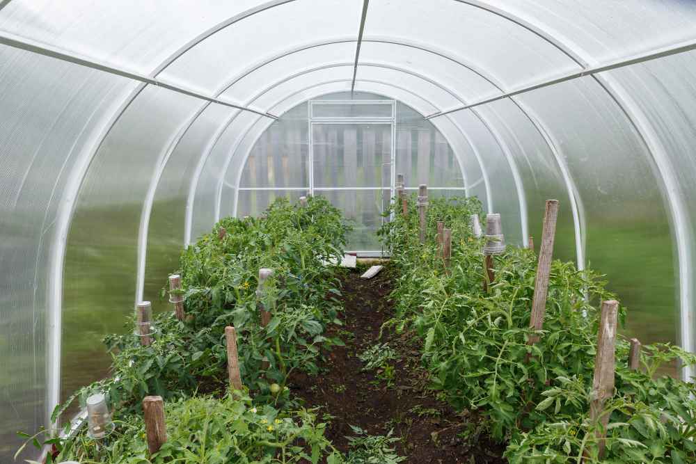 Film De Serre Transparent En Polyéthylène PE - 4m X 5m, Épaisseur 0.04mm, Couverture De Culture Pour Jardin, Protection Climatique Pour Légumes Et Fleurs - 5